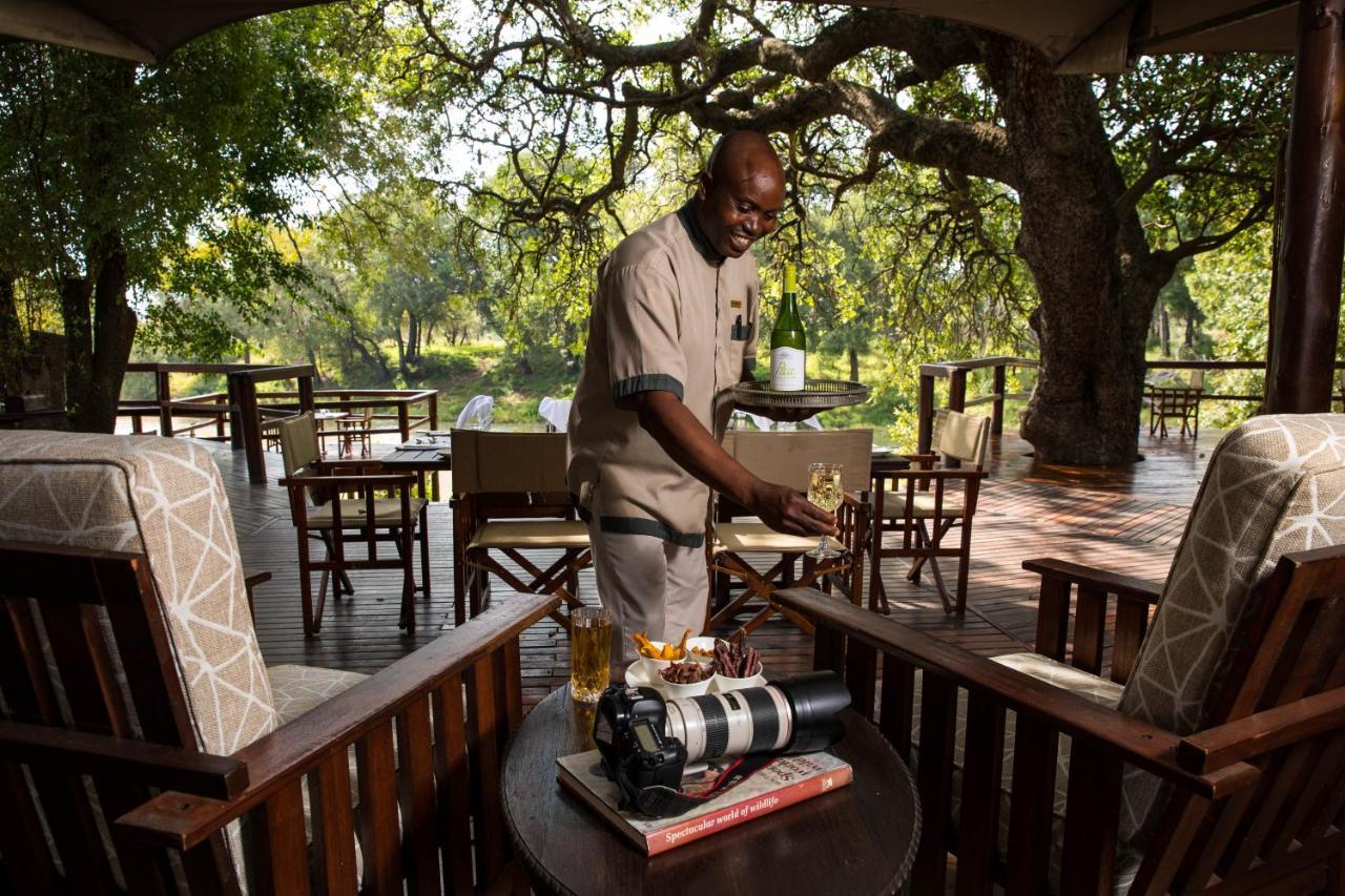 Hamiltons Tented Camp Mluwati Concession Bagian luar foto