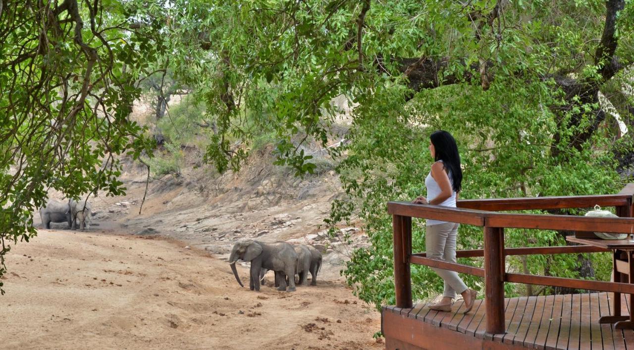 Hamiltons Tented Camp Mluwati Concession Bagian luar foto