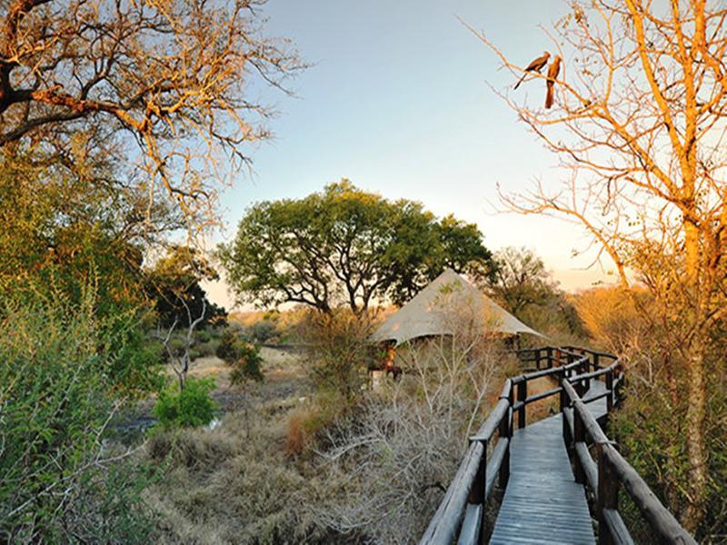 Hamiltons Tented Camp Mluwati Concession Bagian luar foto