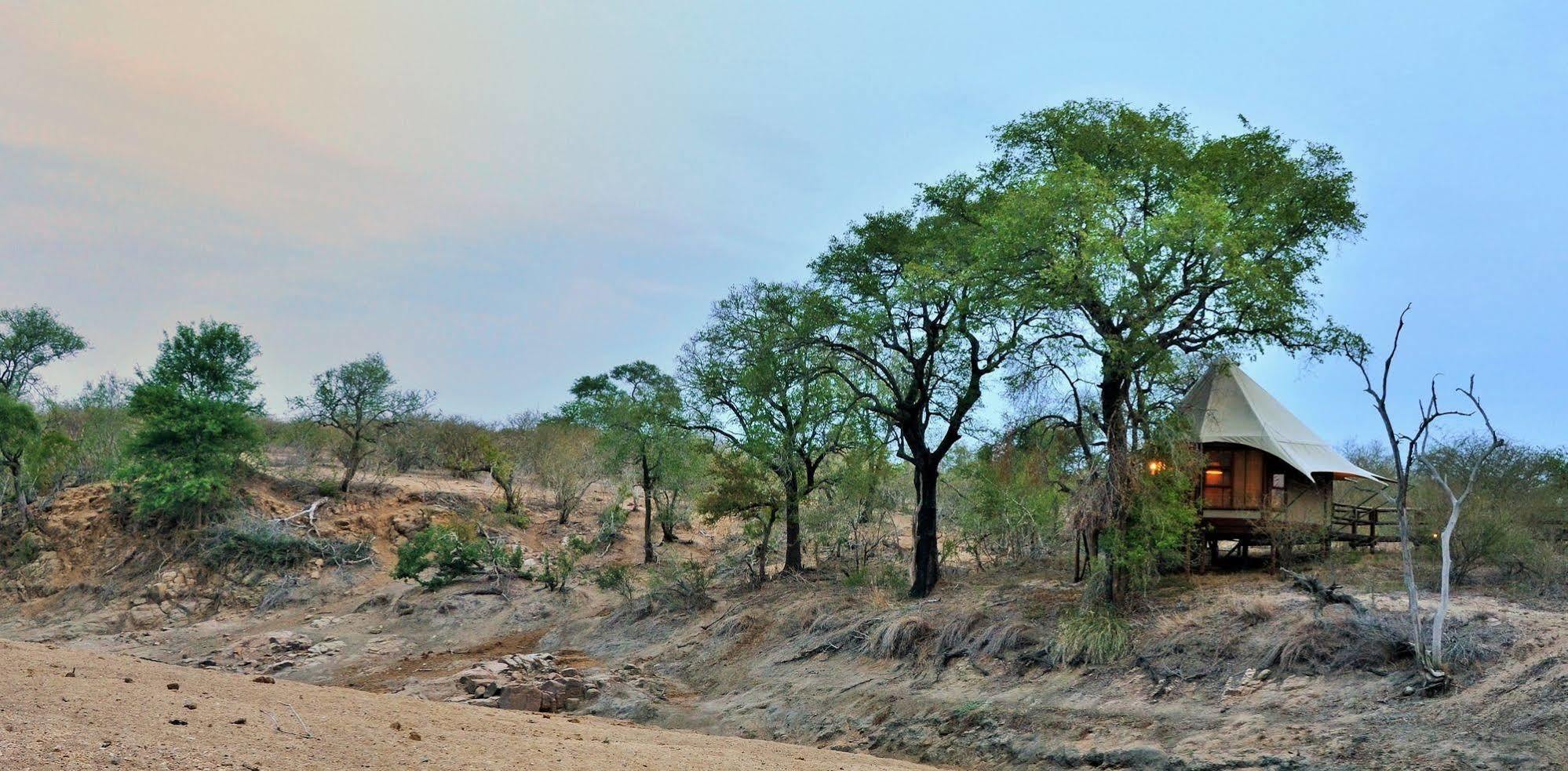 Hamiltons Tented Camp Mluwati Concession Bagian luar foto